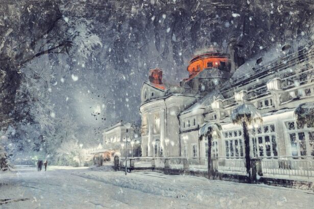 Χιονόπτωση στη νότια Γερμανία