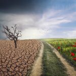 Κλιματική κρίση και πως επηρεάζει τη Γερμανία