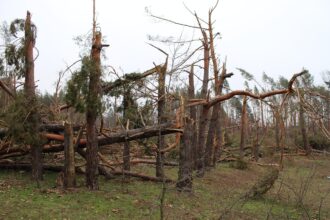 Σφοδρή κακοκαιρία στη Γερμανία: Νεκρή γυναίκα από πτώση δέντρου – 3 σε κρίσιμη κατάσταση