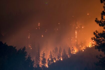 Δέντρα καίγονται σε δασική πυρκαγιά στη Γερμανία