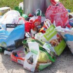 Discarded vegetables and bread in a container highlighting food waste in Germany