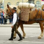 Horses and carriages parade through Feldmoching village during the traditional Rosstag festival in Munich