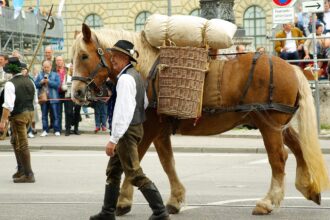 Horses and carriages parade through Feldmoching village during the traditional Rosstag festival in Munich