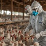 Workers in biohazard suits disinfecting poultry area in Germany amid avian flu outbreak
