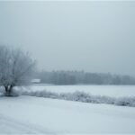Snowy landscape in Bavaria during a cold winter morning