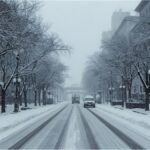 Visualization of the polar vortex over the Northern Hemisphere