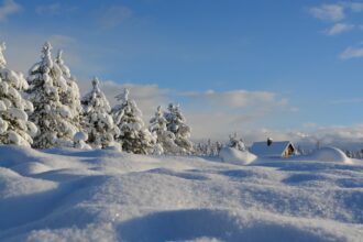 A frosty German landscape with snow-covered trees and bright winter sunlight.
