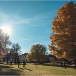 People enjoying sunshine in Munich park during rare November heatwave with temperatures above 20°C